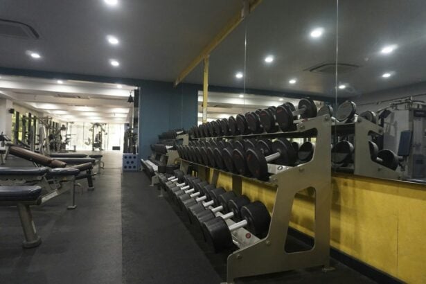 Strength equipment arranged across a commercial training facility; illustrative photography, not a featured supplier.