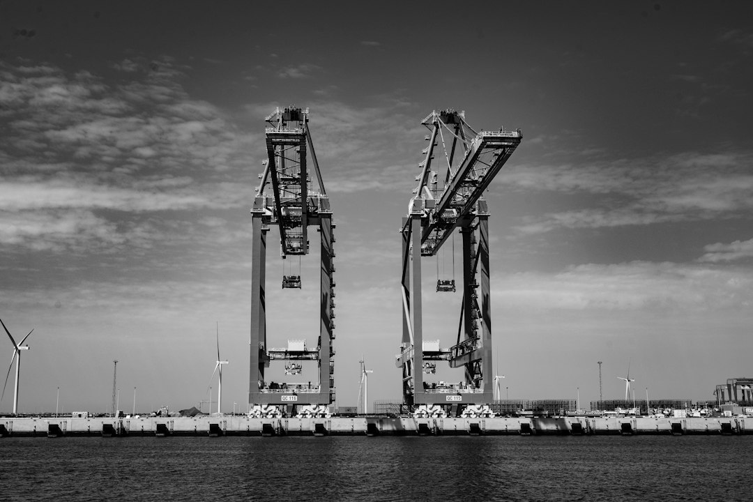 Container terminal cranes where equipment order seasonality shows up first