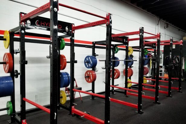 equipment certification marks checked on commercial squat racks