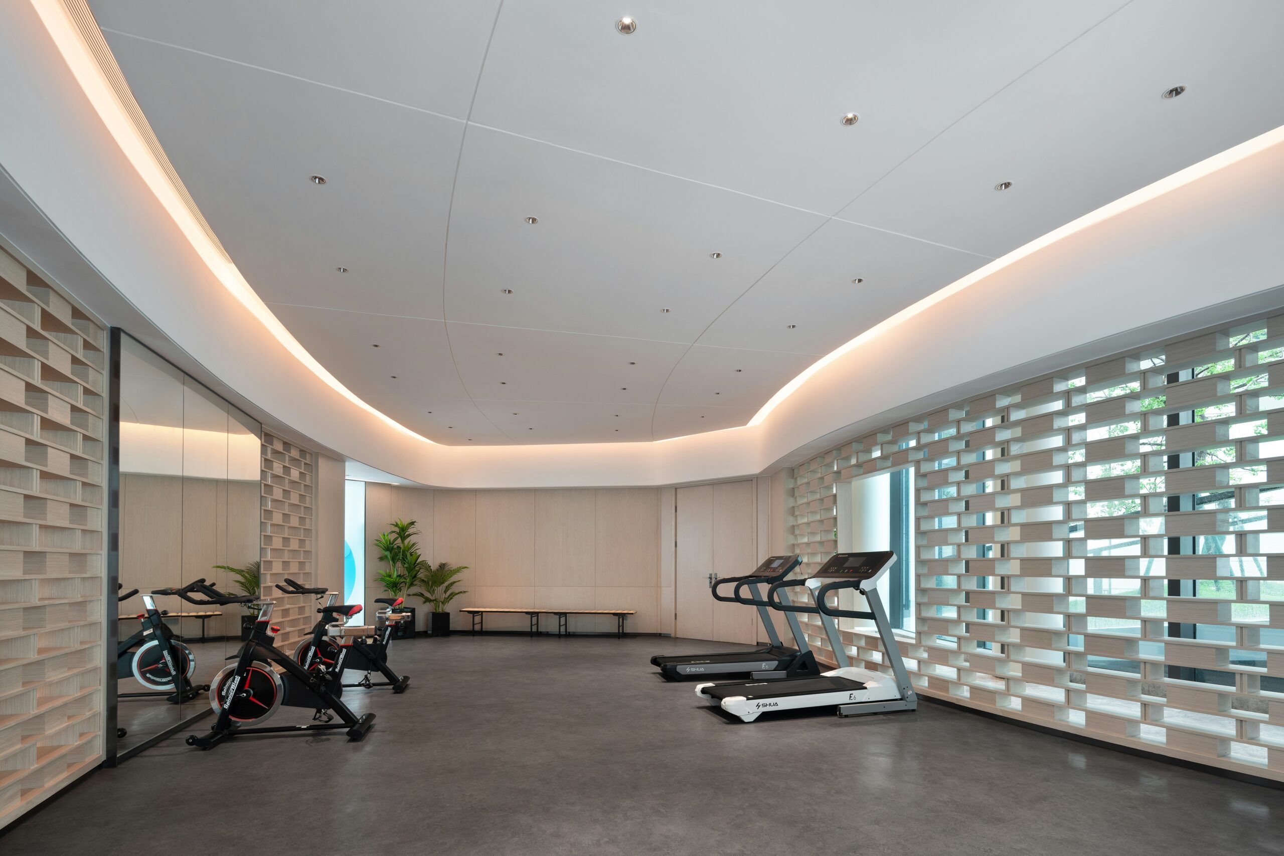 Treadmills and bikes in a tenant room, the typical corporate fitness equipment package